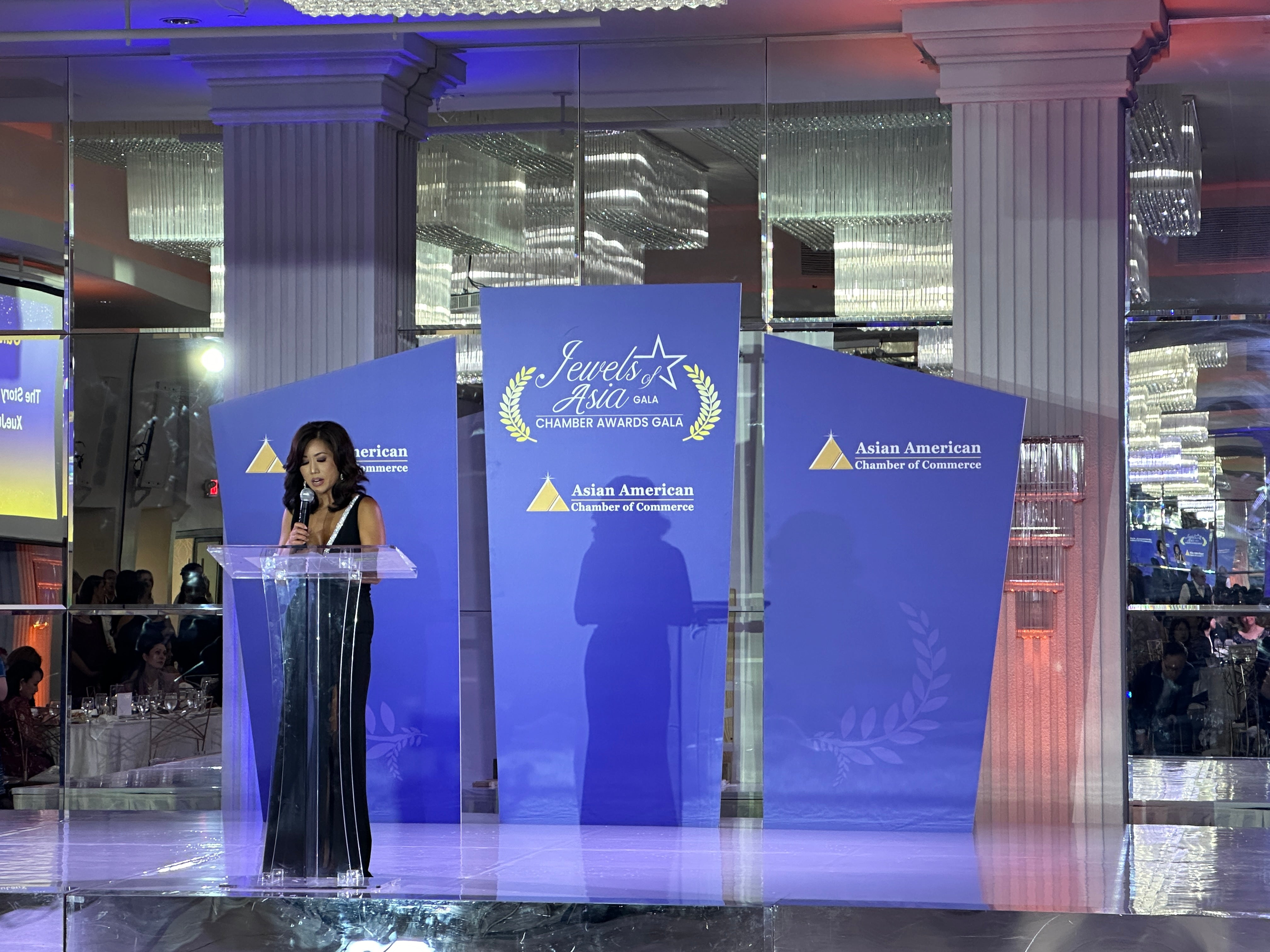 Personalized Stage Backdrop Panels - Triple Set for Events | WPE ...